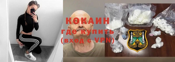 гидра Бородино