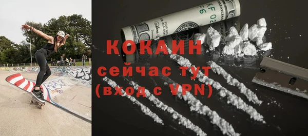 гидра Бородино