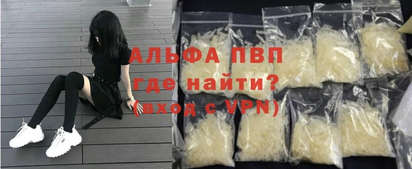 гидра Бородино